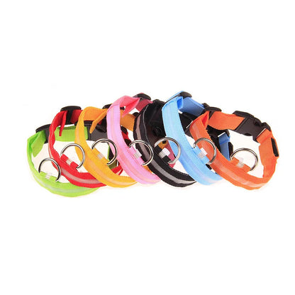 Nylon LED Night Safety, Dog Leash, Fluorescent Pet Dog Collar
