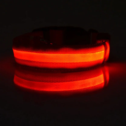 Nylon LED Night Safety, Dog Leash, Fluorescent Pet Dog Collar