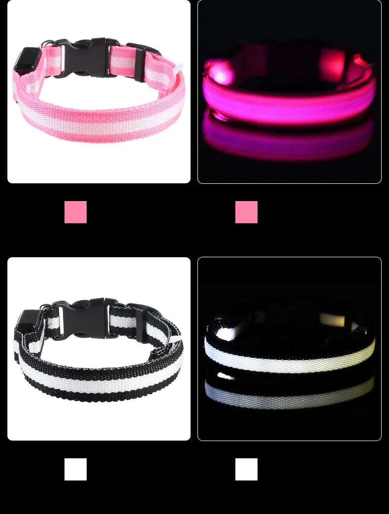 Nylon LED Night Safety, Dog Leash, Fluorescent Pet Dog Collar