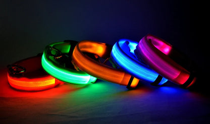 Nylon LED Night Safety, Dog Leash, Fluorescent Pet Dog Collar