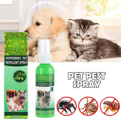 Gouttes Anti-Puces pour Animaux 60ml Tue-Puces Tiques Poux Acariens Chat Soulage les Démangeaisons Antiseptique Soin de la Peau Pulvérisateur Anti-Parasites pour Animaux