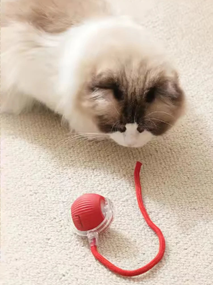 Cat toys cat smart cat balls