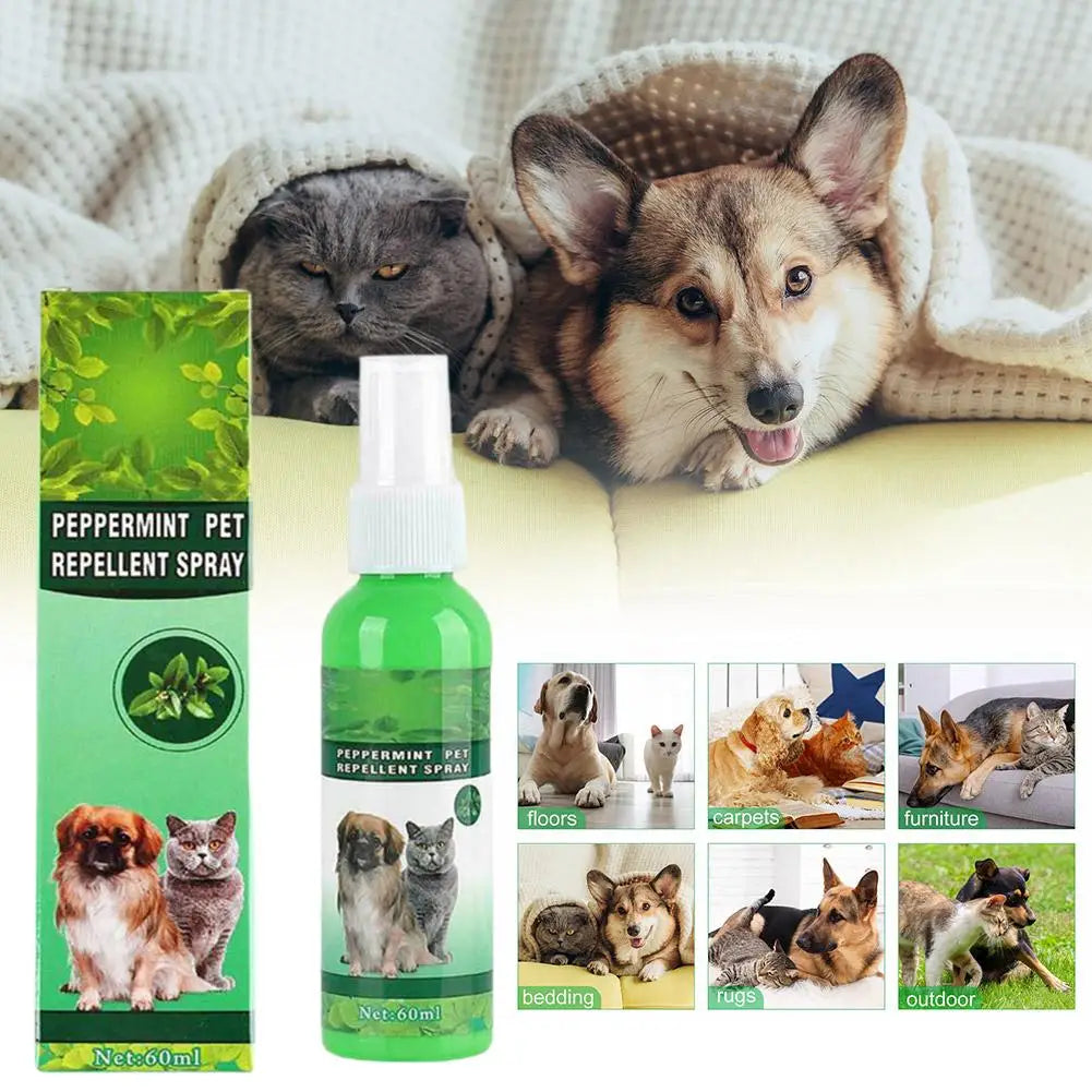 Gouttes Anti-Puces pour Animaux 60ml Tue-Puces Tiques Poux Acariens Chat Soulage les Démangeaisons Antiseptique Soin de la Peau Pulvérisateur Anti-Parasites pour Animaux