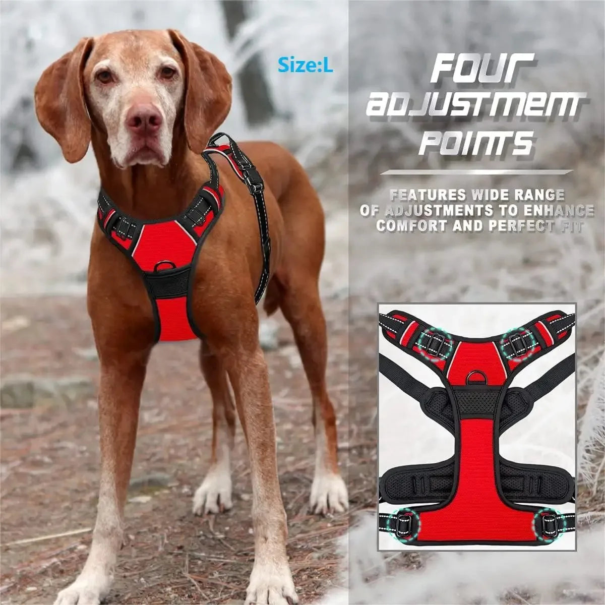 Dog Collars Harness Big Vests Leash Pet