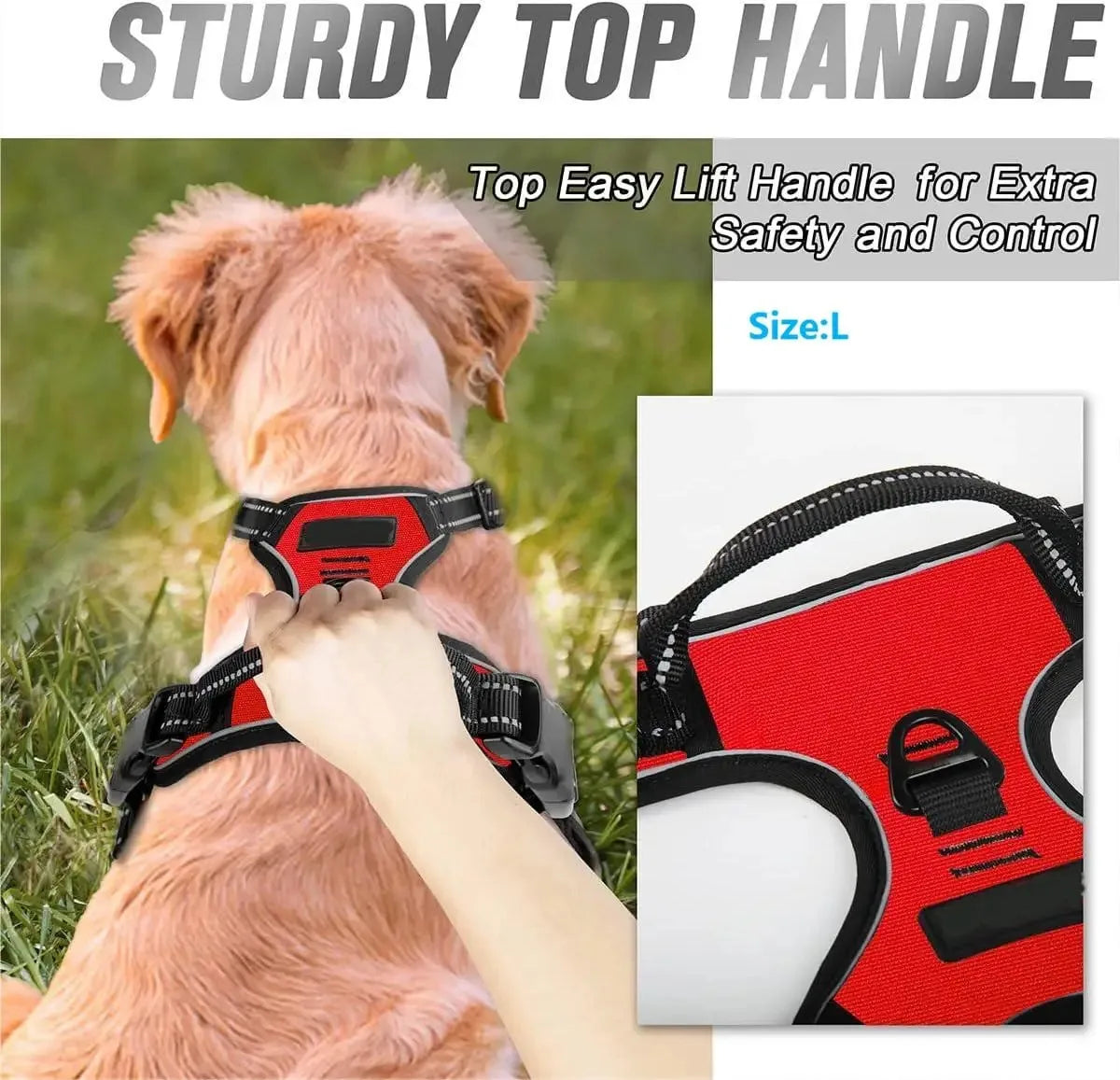 Dog Collars Harness Big Vests Leash Pet