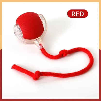 Cat toys cat smart cat balls