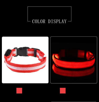 Nylon LED Night Safety, Dog Leash, Fluorescent Pet Dog Collar